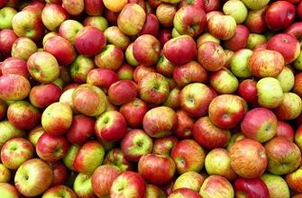 appeldieet voor gewichtsverlies